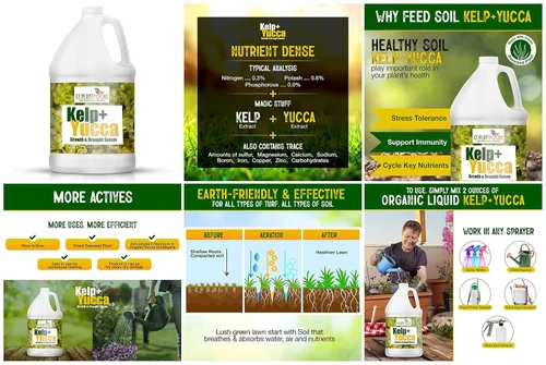 Vista 6 de GS PLANT FOODS Kelp + Yucca Liquid Plant Food Fertilizante orgánico agente humectante para huerto, césped, plántulas, plantas de interior y cultivo