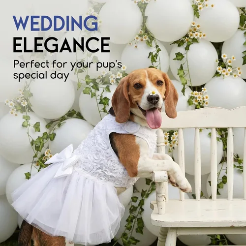 Vista 4 de ASENKU Vestido para Perro Vestido de Boda para Mascota Vestido de Princesa de Encaje para Cachorro Traje de Fiesta de Cumpleaños Ropa Formal