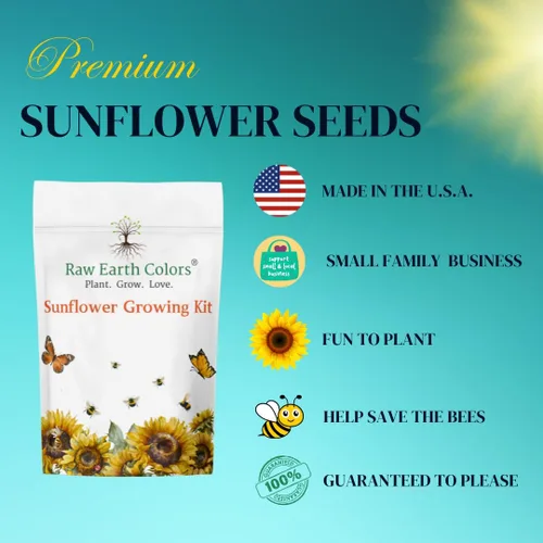 Vista 2 de Kit de cultivo de semillas de girasol enano para plantar, semillas, macetas de turba y vainas de tierra