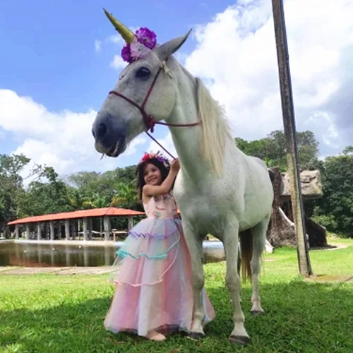 Vista 3 de Vestido de princesa de unicornio para niña vestido largo de tul arco iris ropa de cumpleaños para niños Arco iris