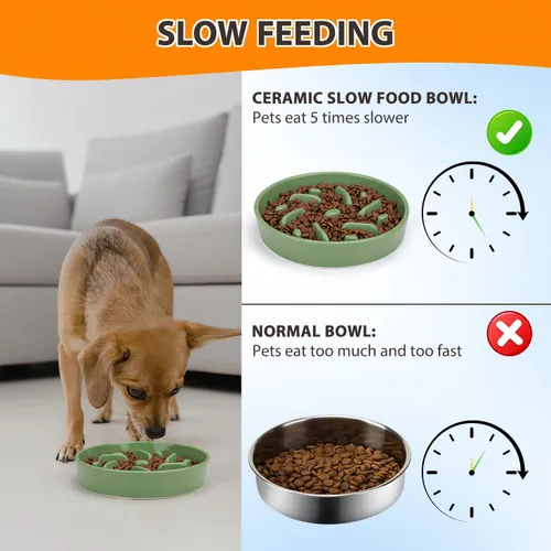 Vista 5 de Cuenco de cerámica para perros de alimentación lenta, 2 tazas de plato de Laberinto - Verde