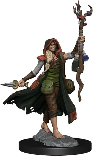 Vista 4 de WizKids D&D Frameworks: Mujer druida humana - Sin pintar y sin ensamblar