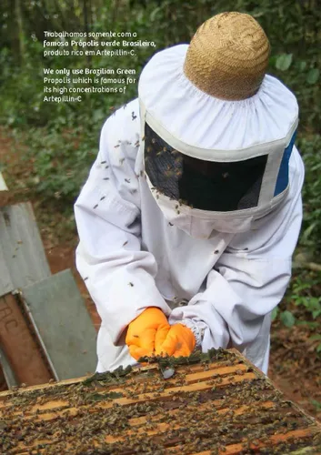 Vista 4 de 4 paquetes de propóleo de abeja verde de cera 500 mg (60 cápsulas)