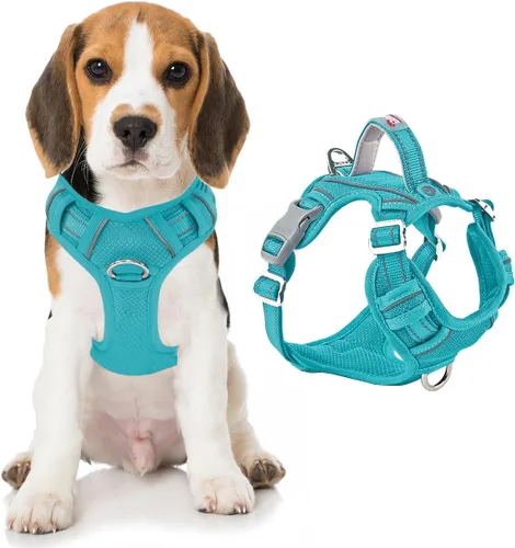 Vista 52 de BARKBAY Arnés Oxford sin tirones para perro con bolsillo para etiqueta de identificación, resistente, reflectante, fácil control para perros grandes