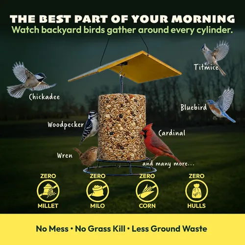 Vista 4 de JCs Wildlife Bugs Nuts and Berries - Cilindro grande de semillas de aves con agujero, cero relleno para comederos exteriores, llaves de pájaros
