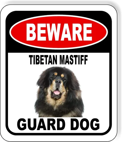 Vista 50 de BEWARE BASSETT HOUND GUARD DOG - Letrero compuesto de aluminio para exteriores, 8.5 x 10 pulgadas CUIDADO BASSETT HOUND GUARD PERRO