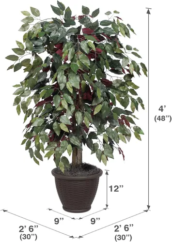 Vista 3 de Vickerman Arbusto artificial Capensia Ficus de 4', contenedor de plástico marrón.