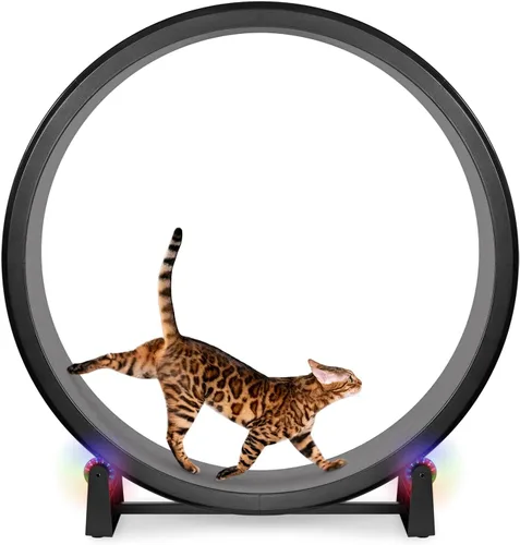 Vista 9 de One Fast Cat - Rueda de ejercicio para gatos, fabricada en los Estados Unidos, 48 pulgadas de diámetro, Gen. 7
