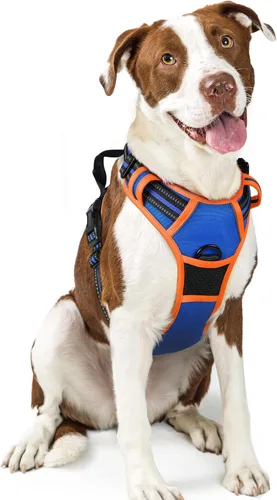 Vista 103 de Rabbitgoo - Arnés para perros sin tirón con 2 clips de correa, chaleco Oxford reflectante acolchado suave ajustable sin estrangulamiento