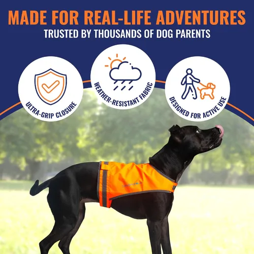 Vista 6 de Chaleco naranja Blaze para perro, edición Lite. Chaqueta reflectante para perro de alta visibilidad con cobertura de espalda media. Chaleco de caza