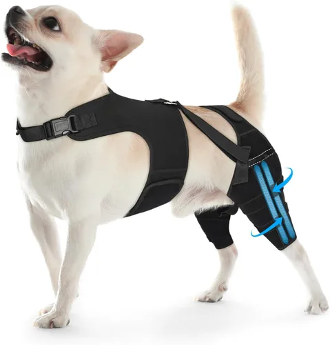 Vista 8 de Rodillera de perro para pierna trasera, soporte ajustable para piernas de perro con 4 estabilizadores, soporte de cadera para reducir el dolor