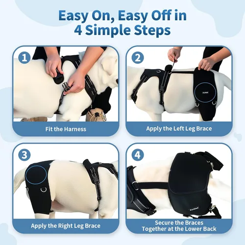 Vista 6 de Soporte de cadera para perro para displasia de cadera y artritis, envoltura de soporte ajustable con almohadillas extraíbles, asa de elevación