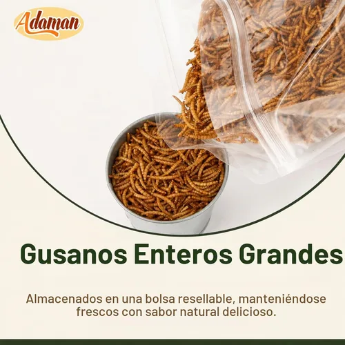 Vista 4 de Adaman - Gusanos secos de harina de 5 libras, alimento para gallinas Gusanos de comida ricos en proteínas para pollos, patos, reptiles y lagartos