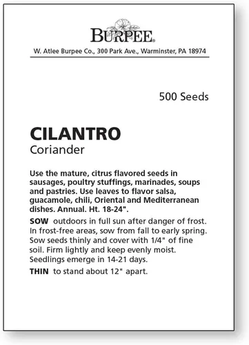 Vista 2 de Burpee Cilantro 500 Semillas de Cilantro