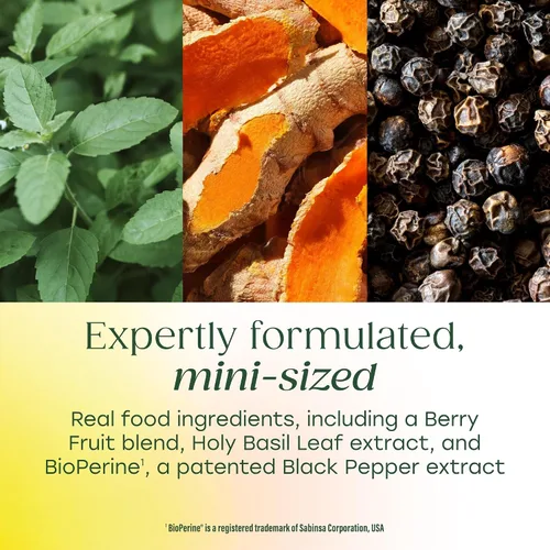 Vista 4 de MegaFood Suplemento de curcumina de cúrcuma de cuerpo entero Minis, suplemento de cúrcuma con pimienta negra, 237 mg de curcuminoides por porción