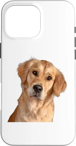 Vista 19 de American Golden Retriever Dog Sweet and Quizzical Case for iPhone 17