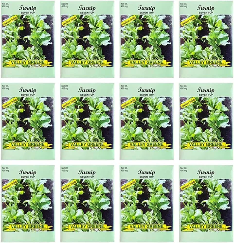 Vista 24 de Juego de 12 paquetes de semillas de verduras de roqueta de rúcula, crea un jardín de lujo, todas las semillas son reliquias, 100% sin OMG