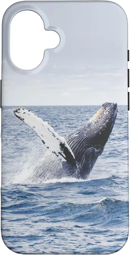 Vista 32 de Whale Case for iPhone 17