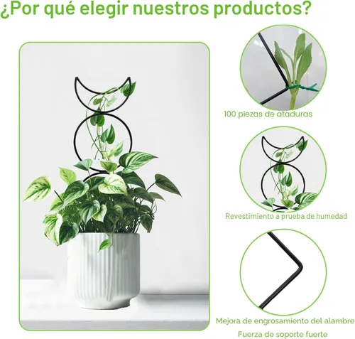 Vista 6 de 4 Paquetes de Enrejados para Plantas Trepadoras de Interior, HENABLE Enrejado de Metal Pequeño para Jardín para Plantas en Macetas al Aire Libre