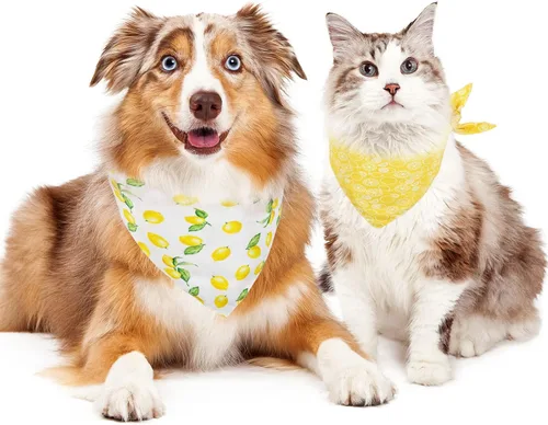 Vista 4 de Whaline Bandana amarilla de limón para perro, bufanda triangular reversible para perro, bufanda ajustable y lavable para mascotas, pañuelo