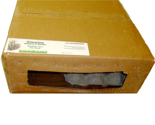Vista 2 de 250ct Gusanos de cera vivos, Alimentos para mascotas, Pesca