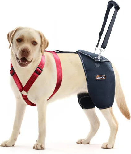 Vista 4 de Soporte de cadera transpirable para perros grandes, soporte ortopédico canino ajustable para displasia de cadera, perfecto para apoyar a