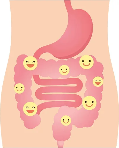 Vista 7 de DrFormulas Probióticos de arándano para mujeres, salud vaginal y tracto urinario con fibra prebiótica y D manosa Nexabiotic Feminine Health