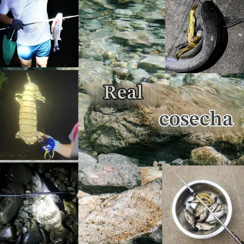 Vista 3 de SUFFUSE Arpón ligero resistente a la corrosión, pesca con lanza, equipo de arpón para cangrejos, arpón especialmente diseñado para pesca de peces
