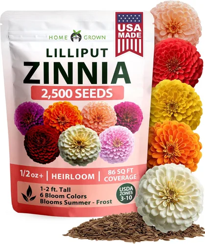 Vista 75 de HOME GROWN Semillas de zinnia rosa – 300 zinnias Luminosa 0.5g, semillas anuales de flores fáciles de cultivar para plantar al aire libre para 2026