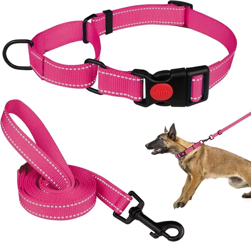 Vista 12 de Set de Collar y Correa Martingale para Perros Collares de Martingale para Perros Collar de Martingale Reflectante para Perros Pequeños, Medianos