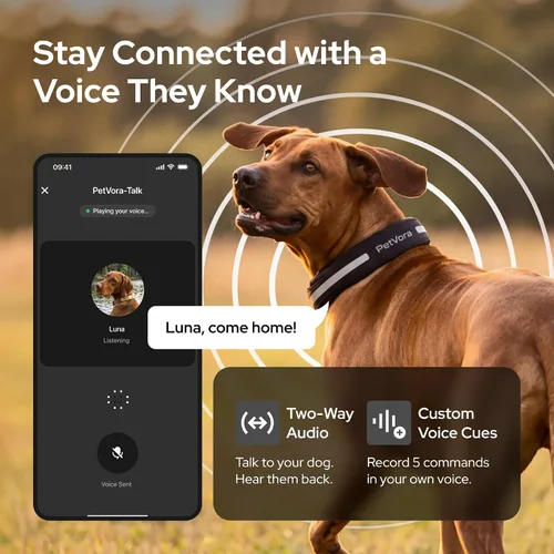 Vista 7 de Collar inteligente GPS para perro, seguimiento en tiempo real