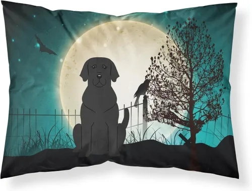 Vista 197 de Caroline's Treasures BB2515PILLOWCASE Between Friends Appenzeller Sennenhund - Funda de almohada de tela estándar, ligera, súper suave, fácil