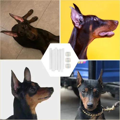 Vista 9 de Ipetboom Kit de 10 piezas de publicación de orejas de perro, herramienta de soporte para orejas de perro, herramienta de soporte para orejas