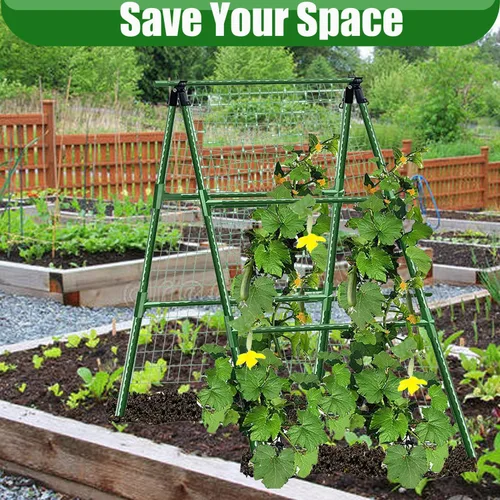 Vista 2 de Enrejados de pepino en un marco para plantas con soporte verde enrejado para pepino, plantas trepadoras, verduras, flores (verde) 47 x 15 pulgadas