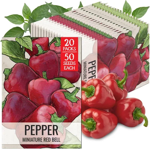 Vista 97 de Seed Needs - Semillas de pimiento arcoíris para plantar verduras, 1 paquete