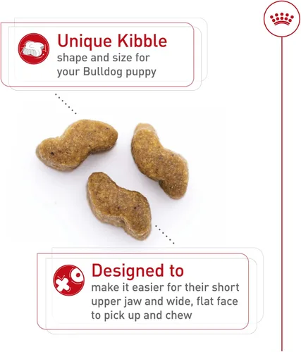 Vista 3 de ROYAL CANIN NUTRICIÓN SANA PARA RAZA bulldog cachorro, alimento seco para perro