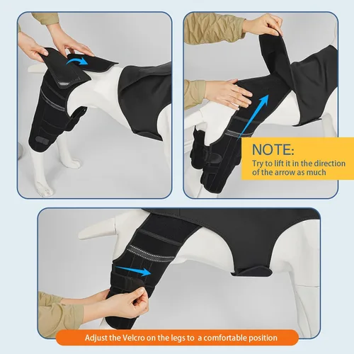 Vista 7 de Rodillera de perro para pierna trasera Acl, soporte de pierna de perro para pierna trasera, soporte de cadera ajustable para reducir el dolor