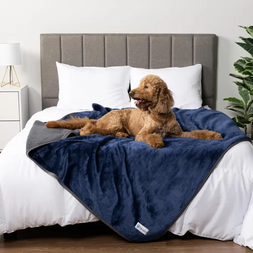Vista 22 de PETAMI Manta impermeable de forro polar Sherpa para gatos y perros, color beige, talla S