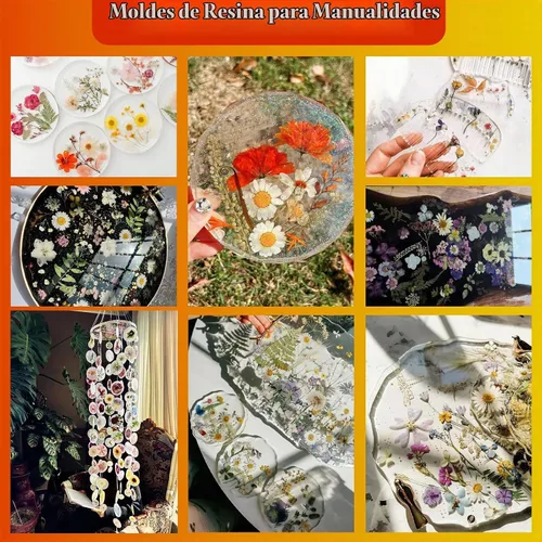 Vista 6 de 85 piezas de flores y hojas prensadas secas en otoño para manualidades de Naranja y amarillo 85 piezas