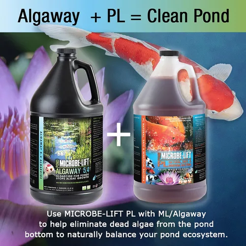 Vista 5 de MICROBE-LIFT ALGA08 Algaway 5.4 Tratamiento de control de algas para estanques y jardines acuáticos, seguro para peces koi, peces dorados, plantas