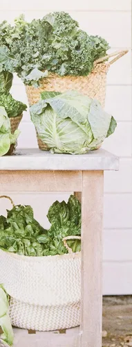 Vista 6 de FarmHouse Fresh Manteca de karité Harvest Green™, 8 onzas líquidas