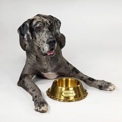 Vista 7 de Snoop Doggie Doggs Cuenco para mascotas Off The Chain Deluxe