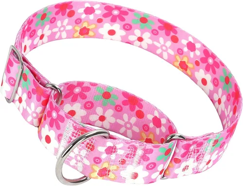 Vista 19 de Collar Martingale para Perro de 1.5 Pulgadas de Ancho - Diseño de Calavera Extra Resistente para Perros Grandes, Collar de Entrenamiento Ajustable