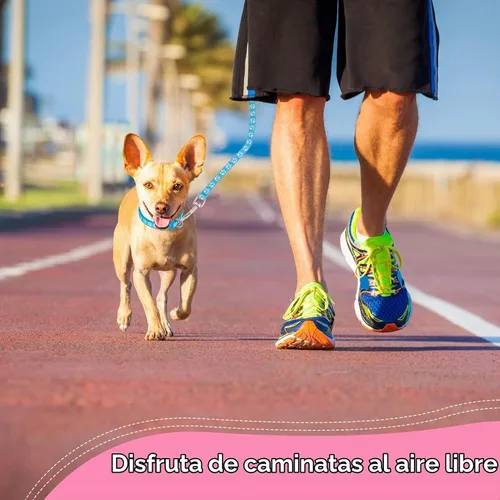 Vista 7 de BOUMUSOE Juego de 2 collares y correas para perro, collar para cachorro y correa con hebilla de liberación rápida, collar ajustable con estampado