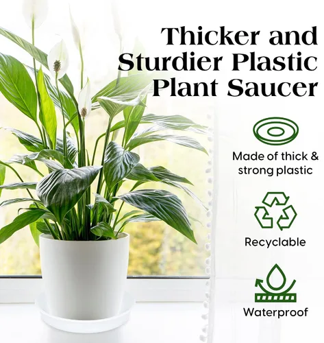 Vista 3 de SLS SUPPLY FLORA - Platillos duraderos para plantas, paquete de 12 tamaños surtidos, platillos para macetas, elegantes platillos para interiores