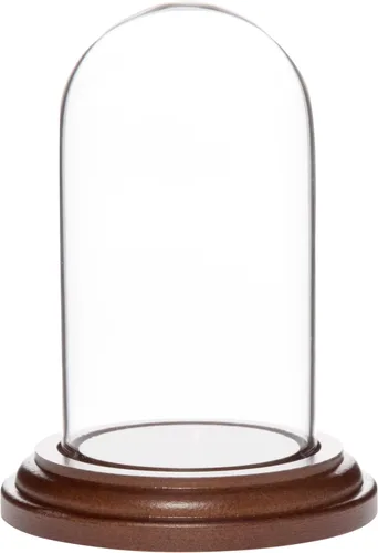 Vista 4 de Plymor Mini cúpula de cristal de 1.85 x 3.5 pulgadas (base de madera MDF negra)