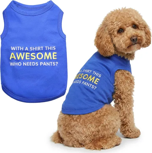 Vista 13 de Camiseta para perro Parisian Pet con palabras bordadas "Es mi cumpleaños" - Camiseta sin mangas para cumpleaños de perro - Chaleco ligero