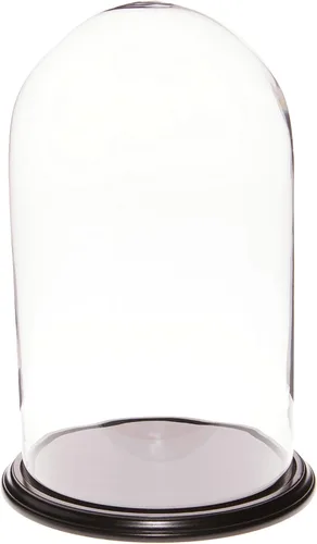 Vista 7 de Plymor 11.75" x 20" Pantalla de cristal Dome Cloche (base de nogal)