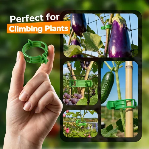 Vista 5 de 100 piezas de clips para tomate para plantas trepadoras, clips de soporte de planta de enrejado de plástico para jardín, clips reutilizables
