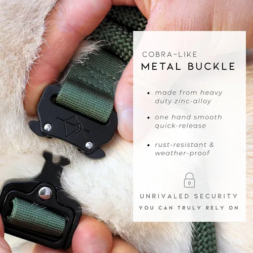 Vista 4 de MADE TO ROAM - Collar Premium Explorer Control, collar ajustable de nailon resistente para perro con hebilla metálica de liberación rápida y mango